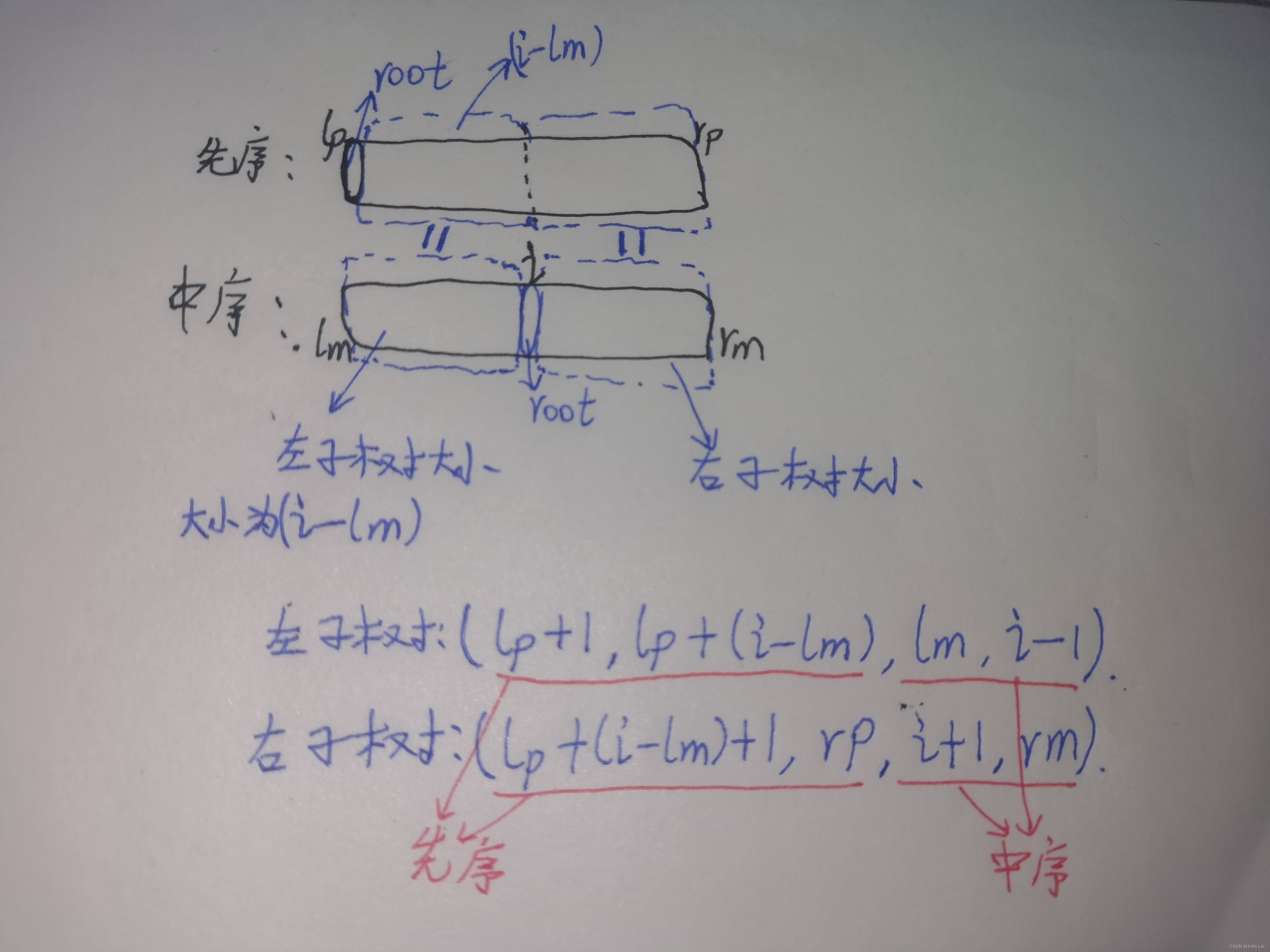 洛谷——【数据结构1-2】二叉树