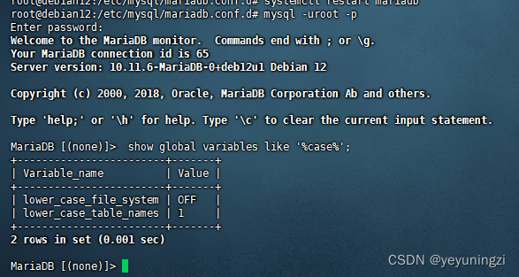 Debian mariadb 10.11设定表名 大小写不敏感方法