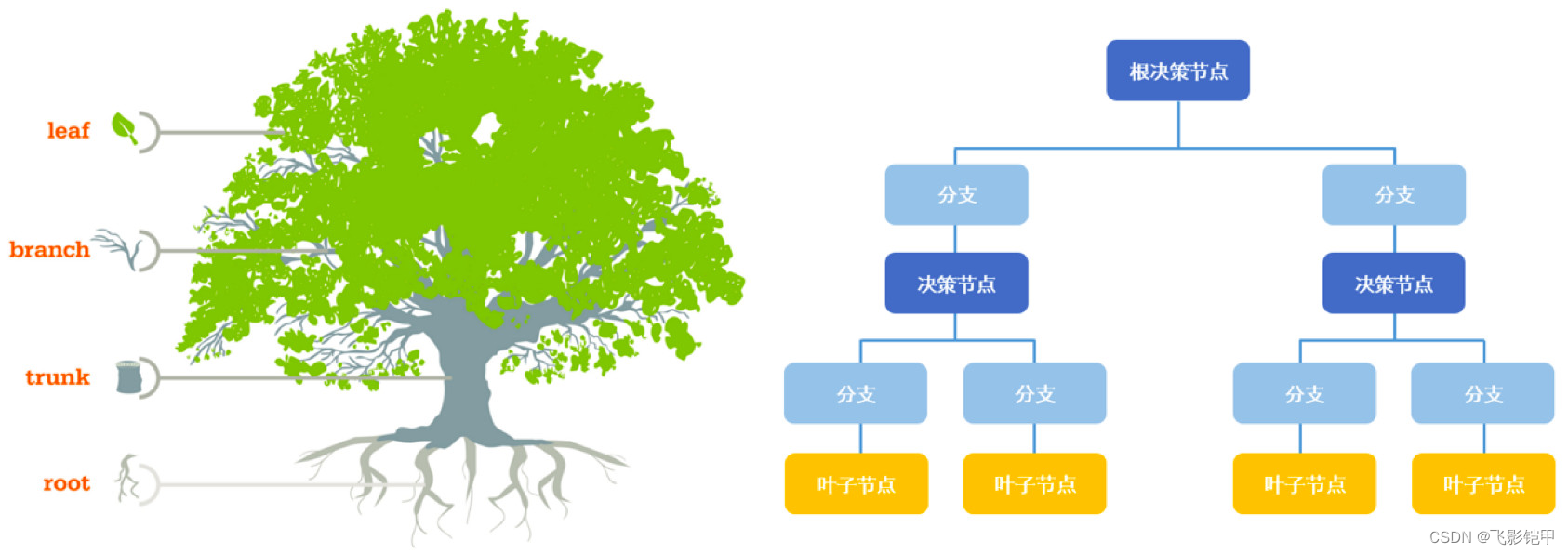 机器学习<span style='color:red;'>系列</span>——（<span style='color:red;'>九</span>）决策树