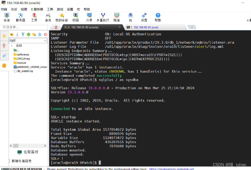 oracle19c单实例补丁升级和回退