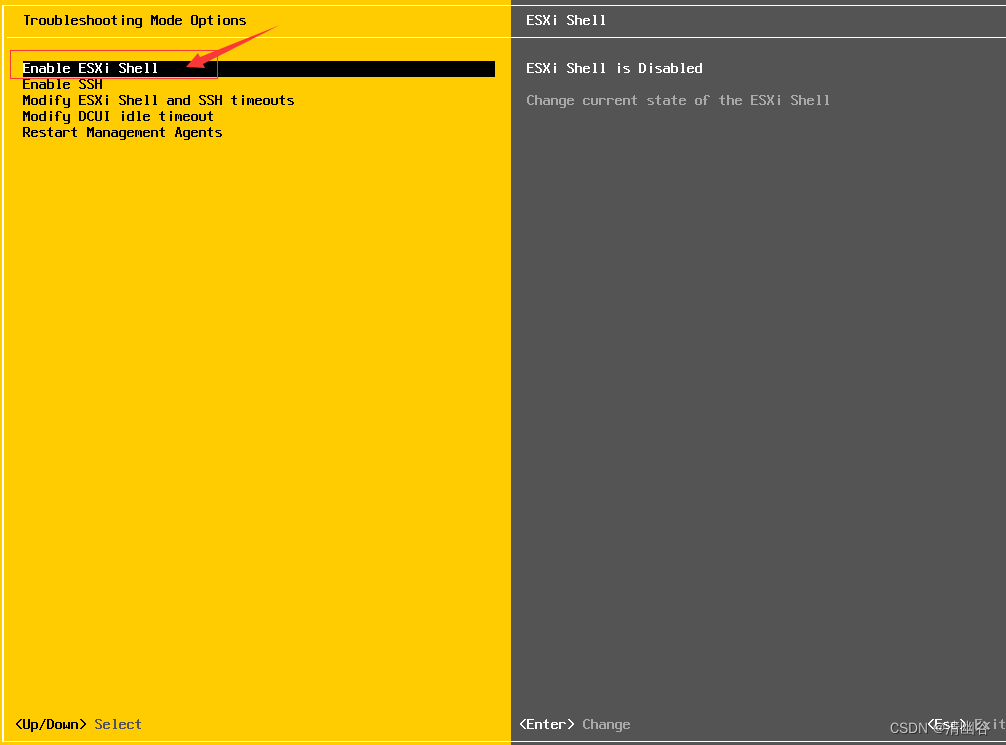 ESXI 主机启用 Shell 连接_esxi shellCSDN博客