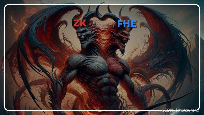 ZK vs FHE