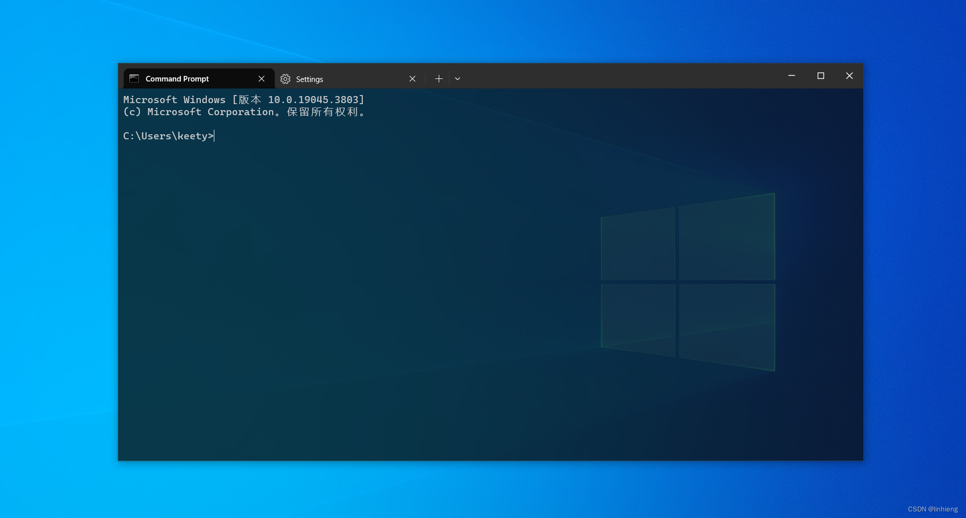 我的 Windows Terminal 样式