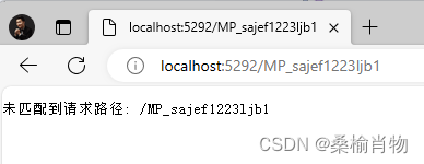 使用ASP.NET MiniAPI 调试未匹配请求路径