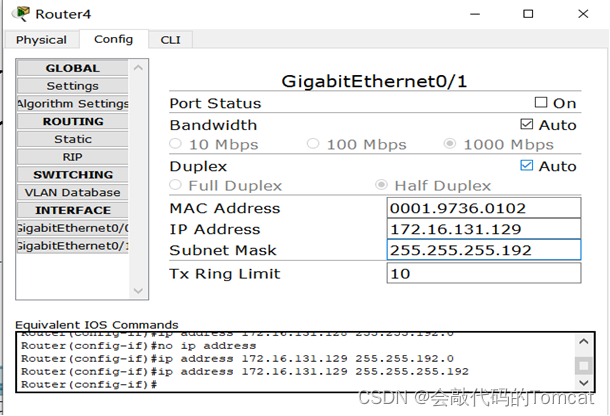 计算机网络综合组网实验