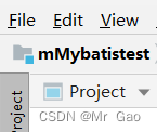java-MyBatis项目配置