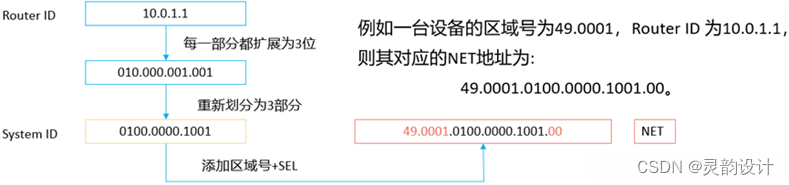 学习笔记——动态路由——IS-IS中间系统到中间系统（基本概念）