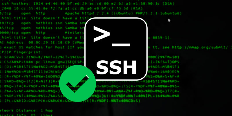 Their offer ssh rsa. SSH connections. SSH 3d. SSH.