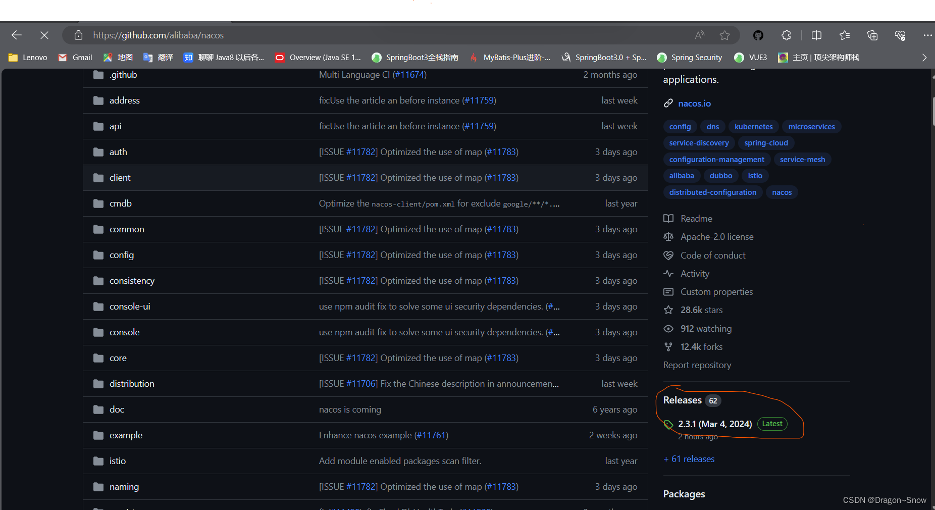 使用Nginx1.25.4版本做负载均衡、搭建Nacos2.3.0服务集群