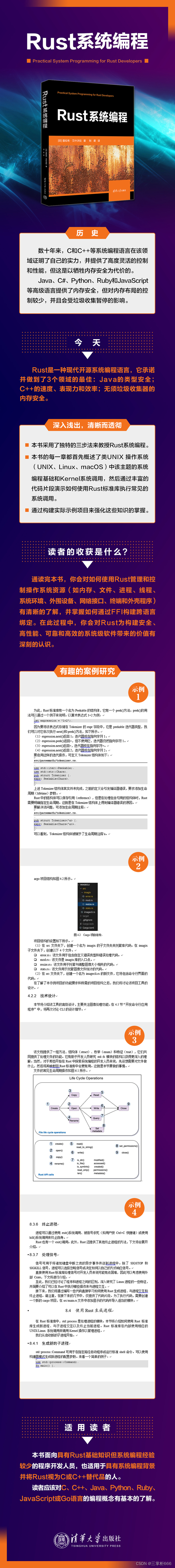 2024三掌柜赠书活动第三期：Rust系统编程