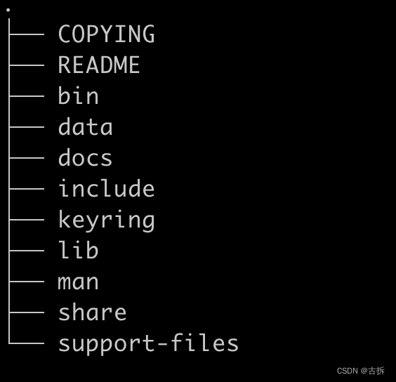 MySQL的目录结构