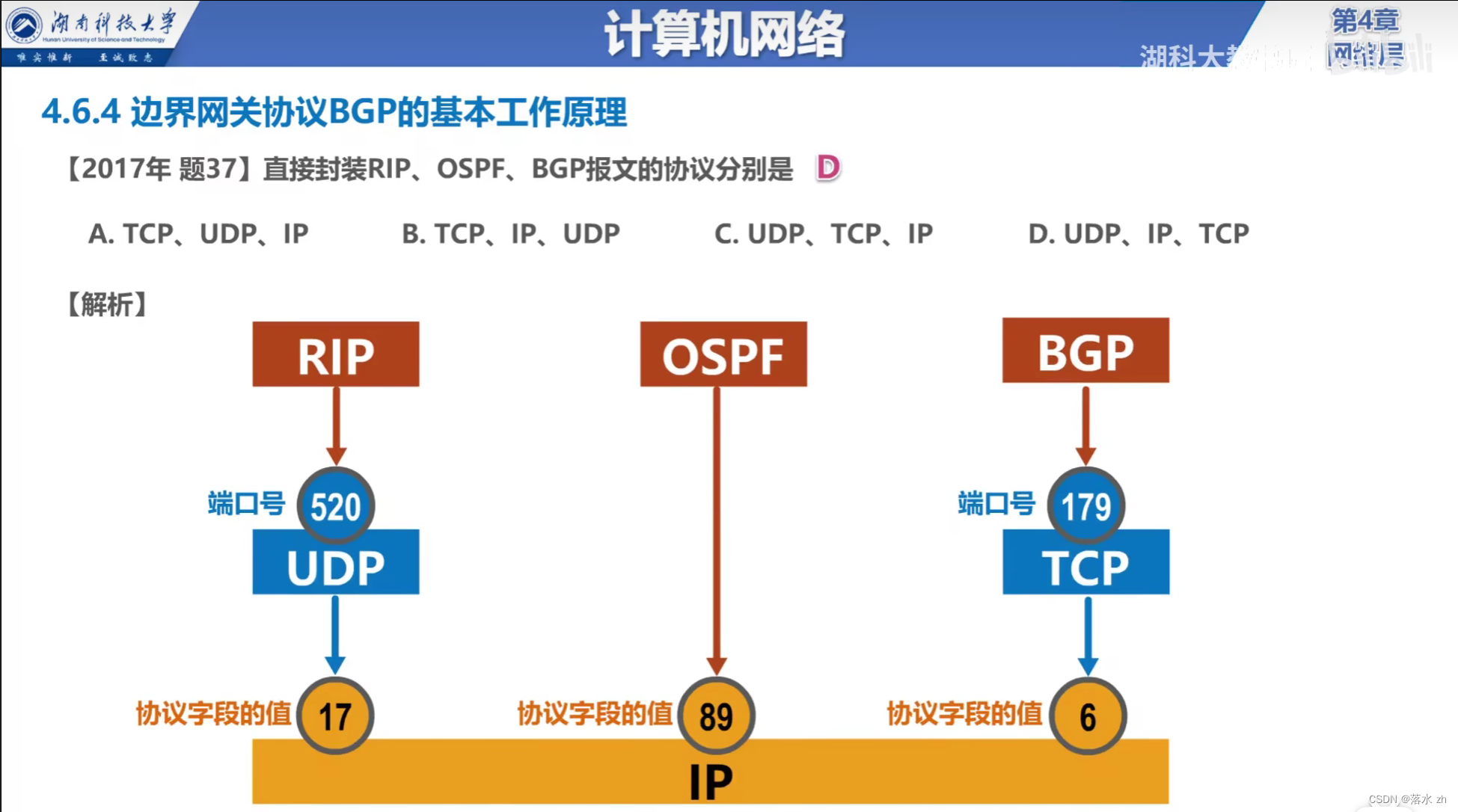 计算机网络 —— 网络层 （路由协议）