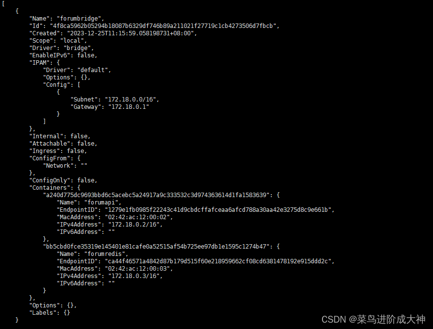 如何使用Docker将.Net6项目部署到Linux服务器（二）