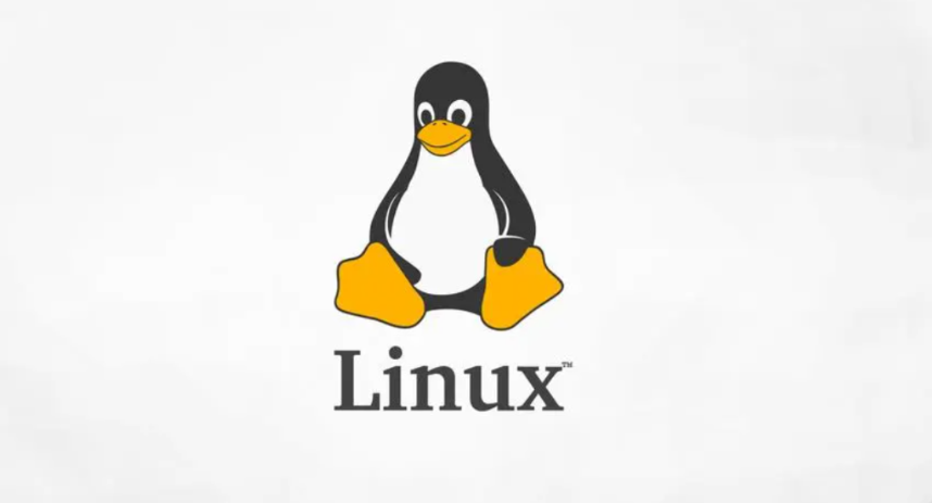 【Linux笔记】系统信息