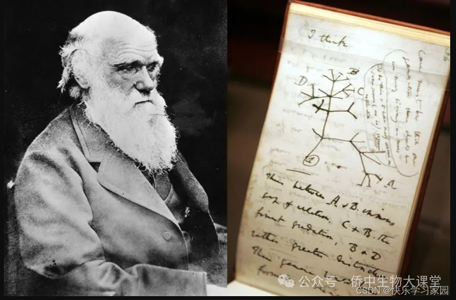 高中生物知识点归纳大全_高中生物知识_高中生物知识点总结电子版