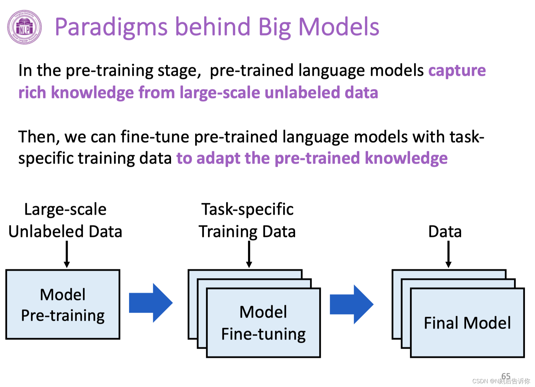 [学习笔记]刘知远团队大模型技术与交叉应用L1-NLPBig Model Basics