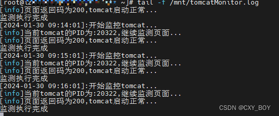 监测Tomcat项目宕机重启脚本(Linux)