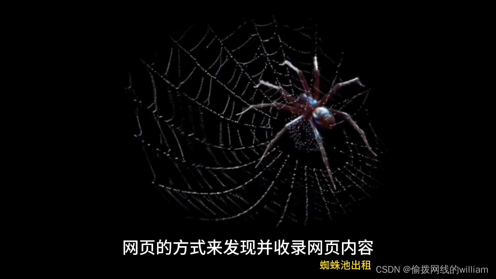 蜘蛛池域名多少钱_网站蜘蛛池怎么做的_蜘蛛池要用多少域名