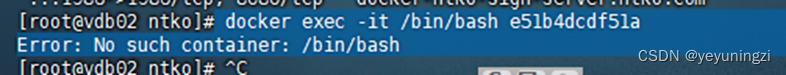 docker exec 命令提示：Error: No such container: /bin/bash