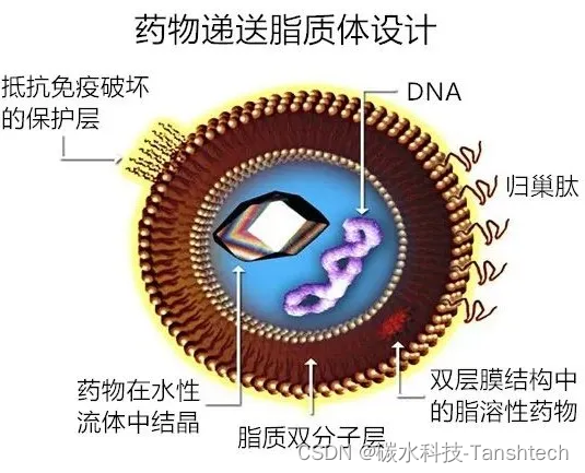 靶向载药脂质体纳米药物载体应用领域