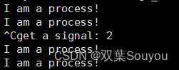 Linux——进程信号（二）