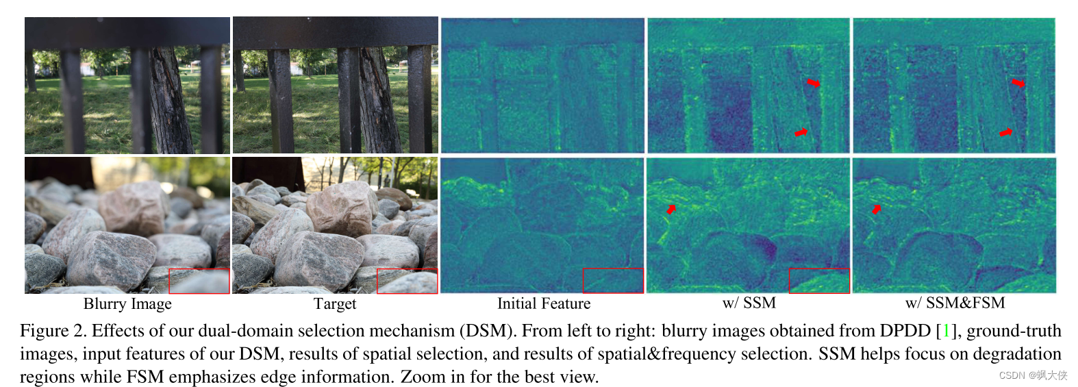 图 2.我们的双域选择机制 (DSM) 的效果。 从左到右：从 DPDD [1] 获得的模糊图像、地面实况图像、DSM 的输入特征、空间选择的结果以及空间和频率选择的结果。  SSM 有助于关注退化区域，而 FSM 则强调边缘信息。 放大以获得最佳视图。