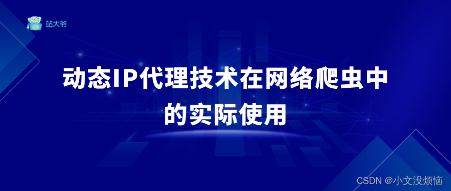 动态IP代理技术在网络爬虫中的实际使用