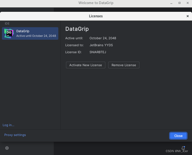 JetBrains的多数据库管理和SQL工具DataGrip 2024.1版本在Windows/Linux系统的下载与安装配置