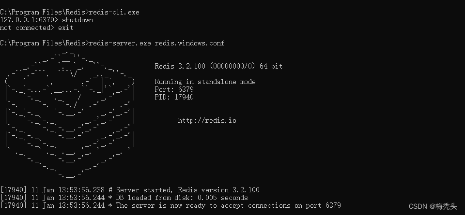 启动redis出现Creating Server TCP listening socket 127.0.0.1:6379: bind: No error异常