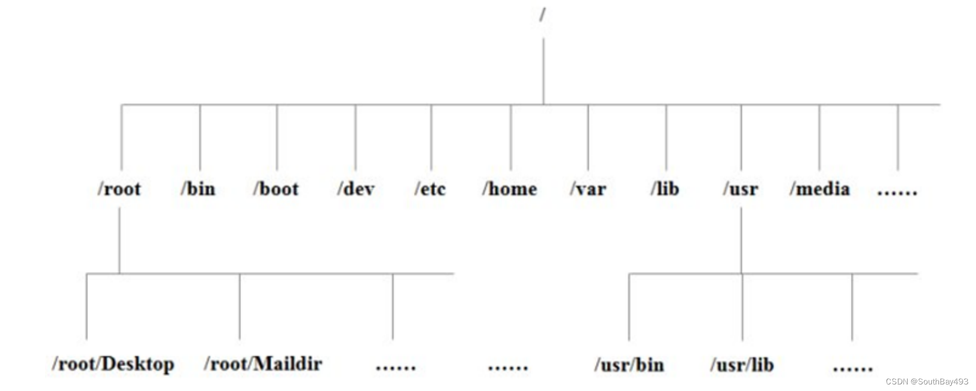 【Linux 基础】目录结构