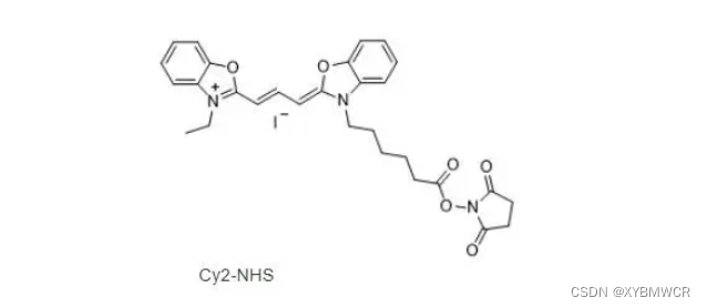 186205-33-4，Cyanine2活化酯，可标记各种纳米材料和生物样品