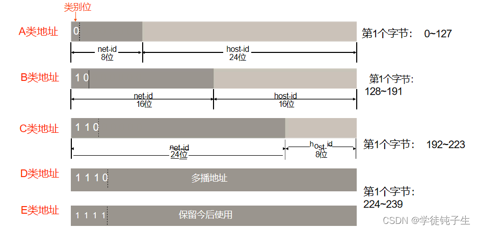 各类IP地址的网络号字段和主机号字段