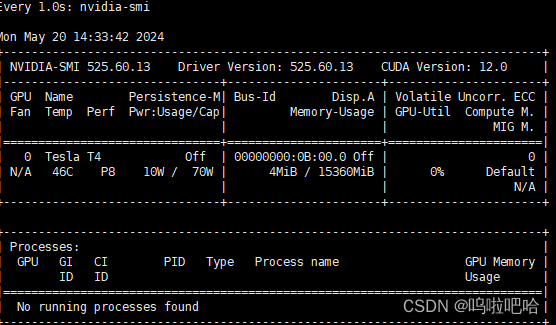 本地centos7+docker+ollama+gpu部署