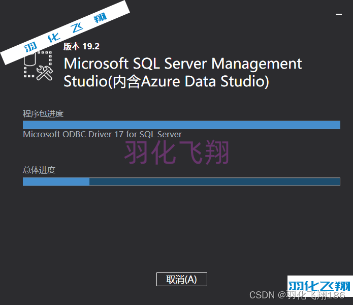 SQL Server 2022软件安装教程(附软件下载地址)_1_示意图