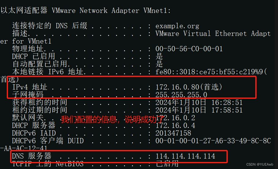 DHSP和DNS