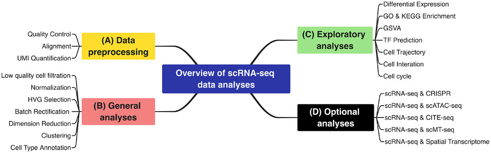 单细胞RNA-seq数据分析总览