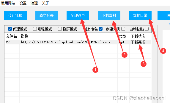 2024年短剧小程序视频解析#下载高手