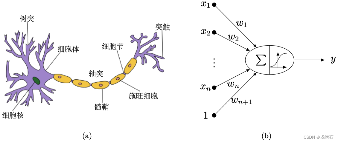 最优化方法Python计算：无约束优化应用——神经网络回归模型