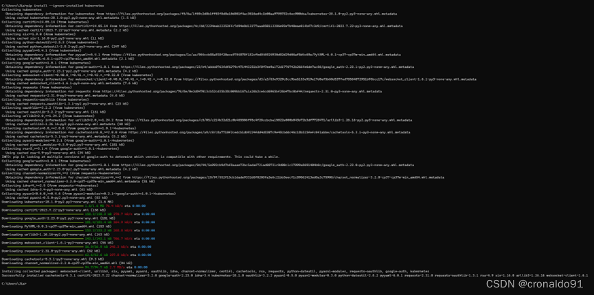 Python开发运维：Python<span style='color:red;'>调用</span>K8S <span style='color:red;'>API</span>实现资源<span style='color:red;'>管理</span>