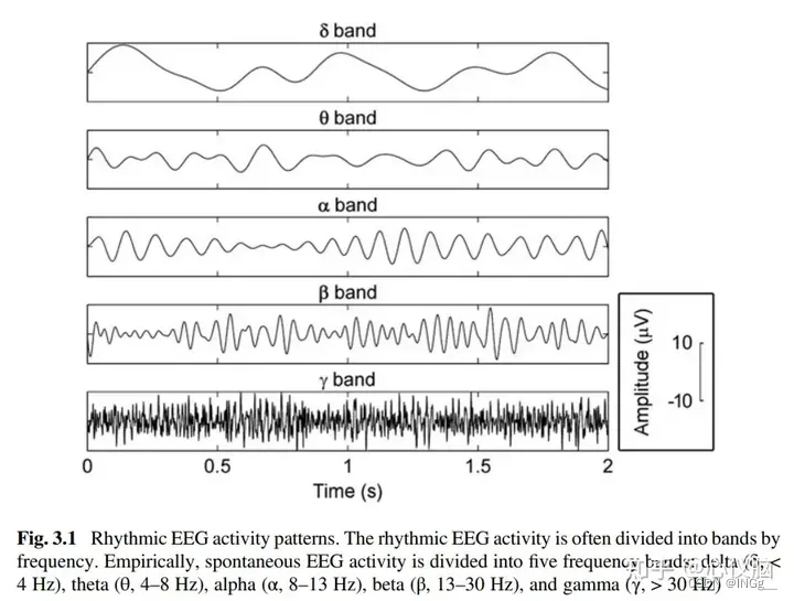 【EEG信号处理】ERP相关