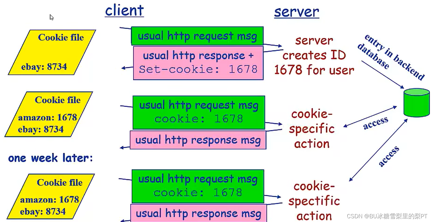 计网自顶向下：网络应用层【Web应用与HTTP协议】