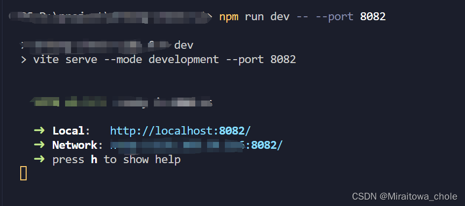 npm run dev 启动vue的时候指定端口