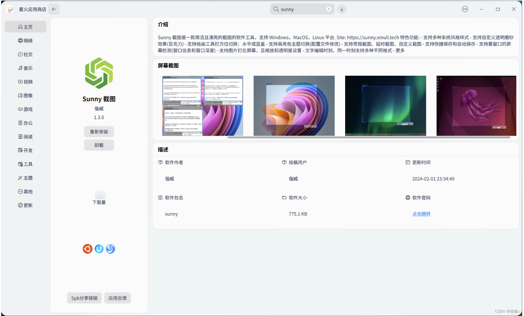 Sunny 截图上架 Microsoft Store 及Linux等商店的指北,第12张