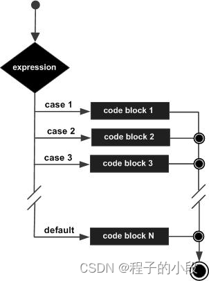 C <span style='color:red;'>switch</span> <span style='color:red;'>语句</span>