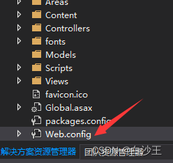 C#配置连接数据库字段