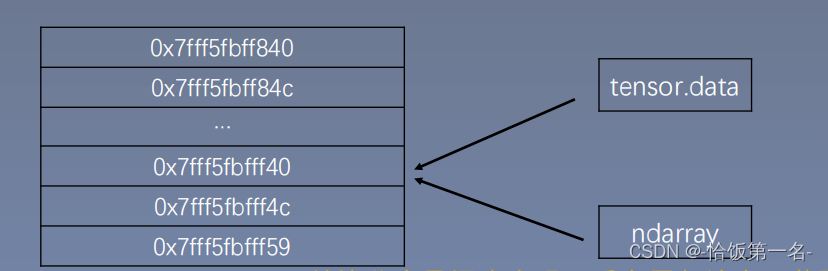 PyTorch的Tensor（张量）