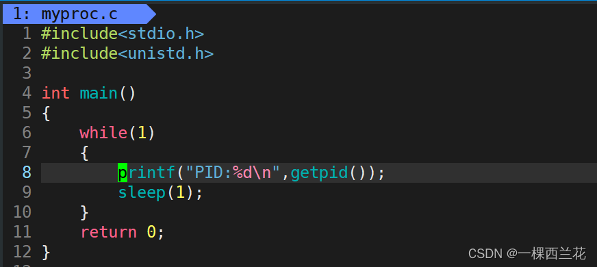 Linux：<span style='color:red;'>进程</span><span style='color:red;'>优先级</span><span style='color:red;'>与</span><span style='color:red;'>命令</span><span style='color:red;'>行</span><span style='color:red;'>参数</span>