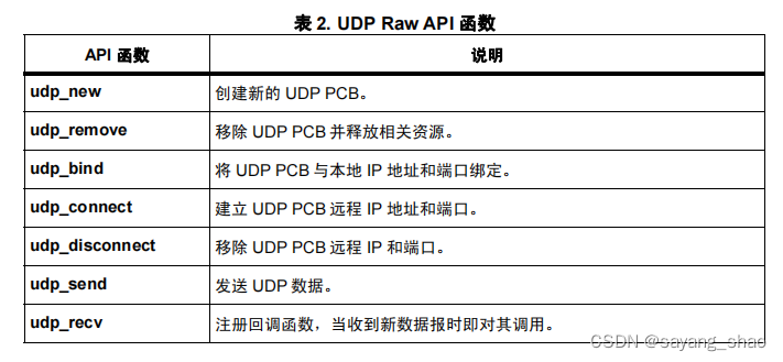 UDP RAW API 函数