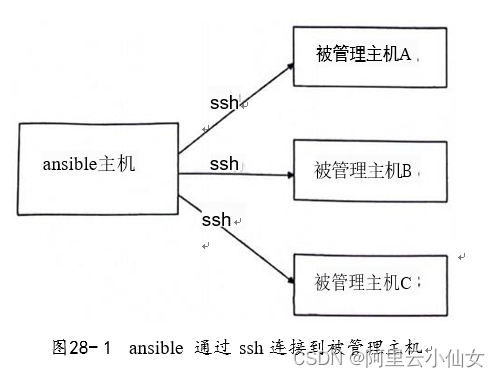 第28章 ansible的使用