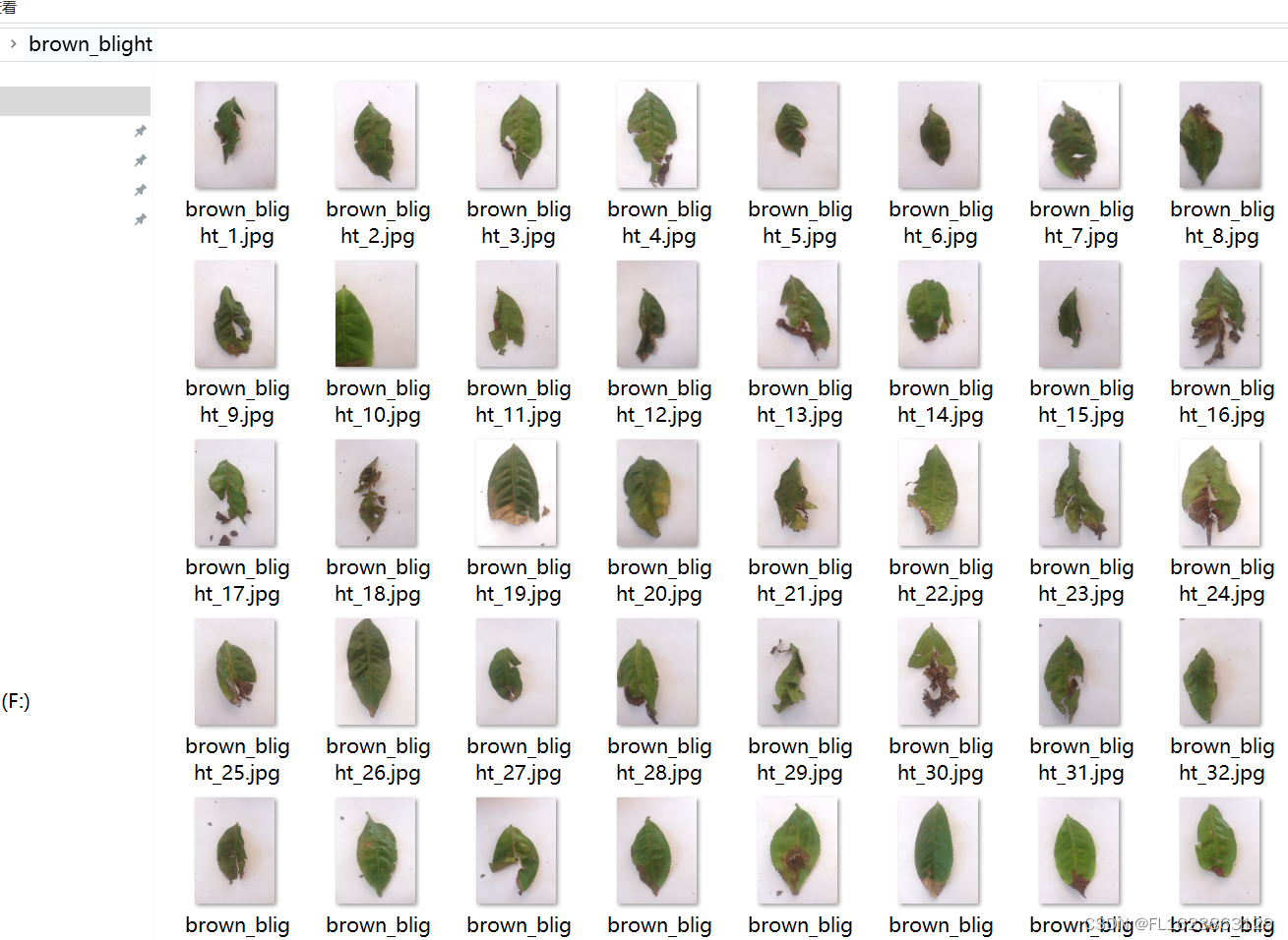 [数据集][图像分类]茶叶叶子病害分类数据集304张4类别